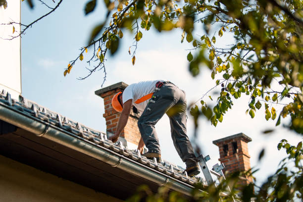 Best Flat Roof Repair Services  in Lenox, IA