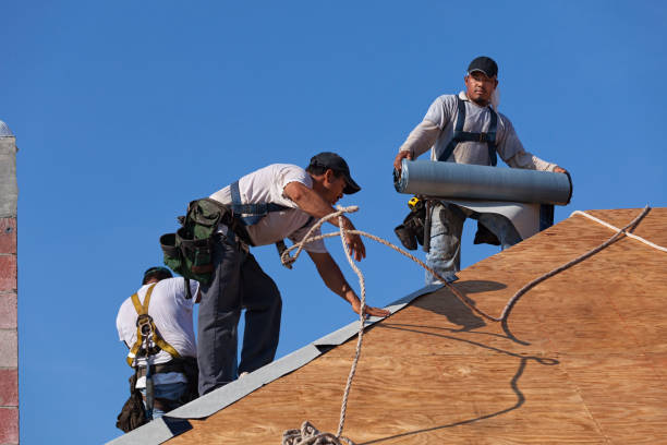 Best Roof Gutter Cleaning  in Lenox, IA